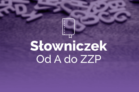 Praktyczny Słowniczek Polskiego ZZP - EFaktura.nl