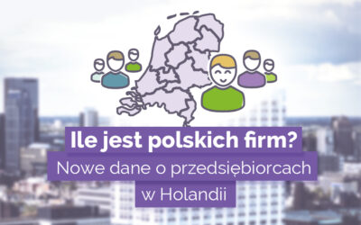 Polscy przedsiębiorcy w Holandii. Nowe dane o firmach ZZP.