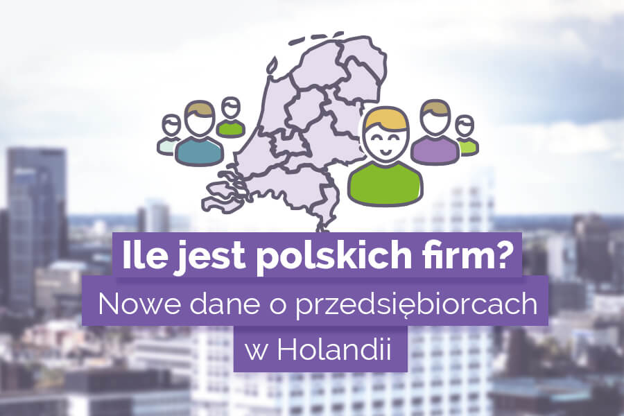 Polscy przedsiębiorcy w Holandii. Nowe dane o firmach ZZP.