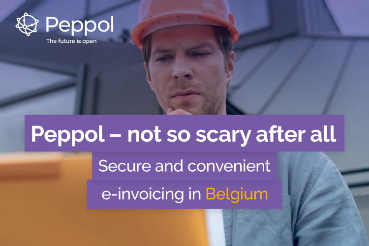 Peppol in Practice: E-Invoicing and Security