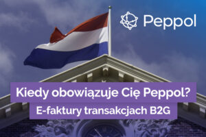 peppol w holandii